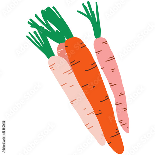 Transparent Simple Modern Aesthetic Carrots Illustration. Delicious Contemporary style illustration of Autumn Crops No Background Edition