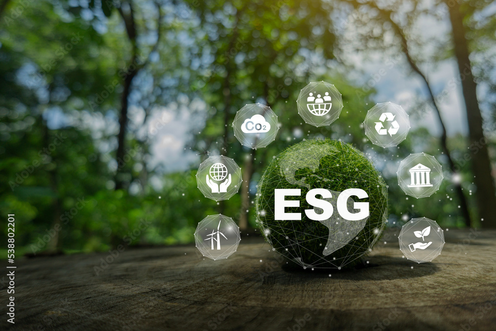 ESG Banner.ESG icon concept for environmental, social, and governance ...