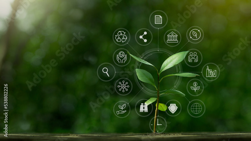 ESG icon concept with small tree for environmental, social, and governance in sustainable and ethical business on the Network connection on a green background.
