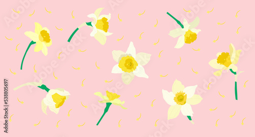 Set and composition of daffodils. Floral background.