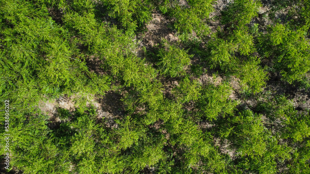 Aerial view of tropical forests in Thailand. Natural landscape background. Aerial view of tropical forests in Thailand. Natural landscape background.