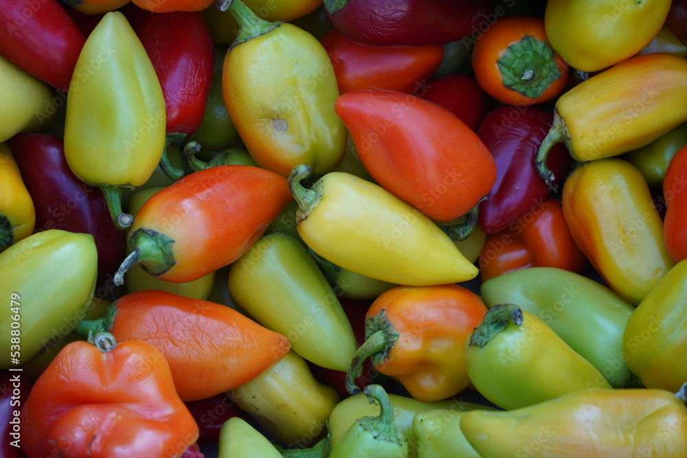 Colorful peppers are laid out in a container on the market Colorful peppers are laid out in a container on the market