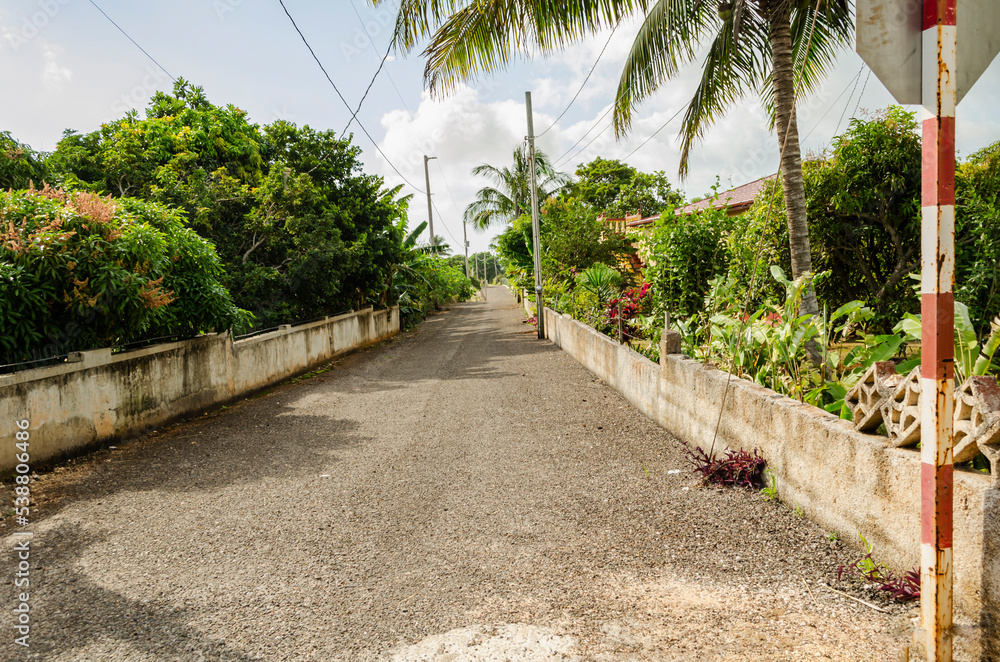 Fototapeta premium Straight Asphalt Roadway