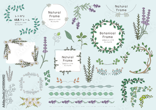 植物の線画のフレーム