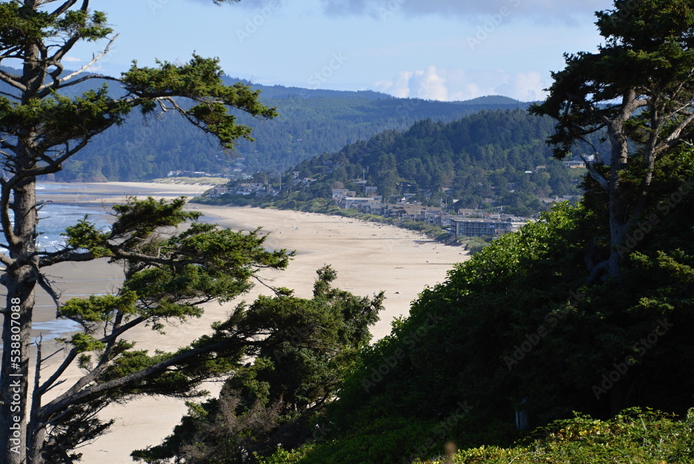 Panorama Landscape at the Pacific Coast, Oregon