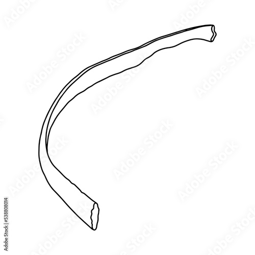 Human rib. Vector, outline, anatomical, hand drawn illustration on white background.