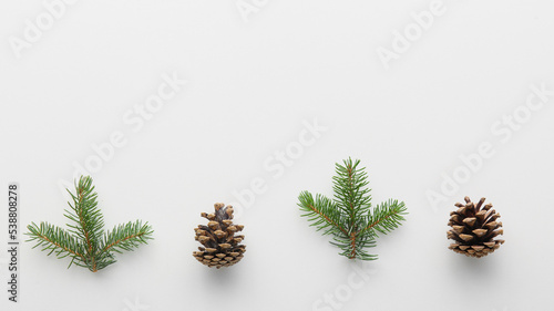 Christmas branches with fir cones on white background