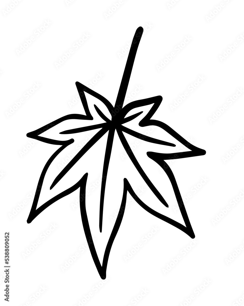 Obraz premium もみじ、紅葉、秋の風物詩、単品、線画