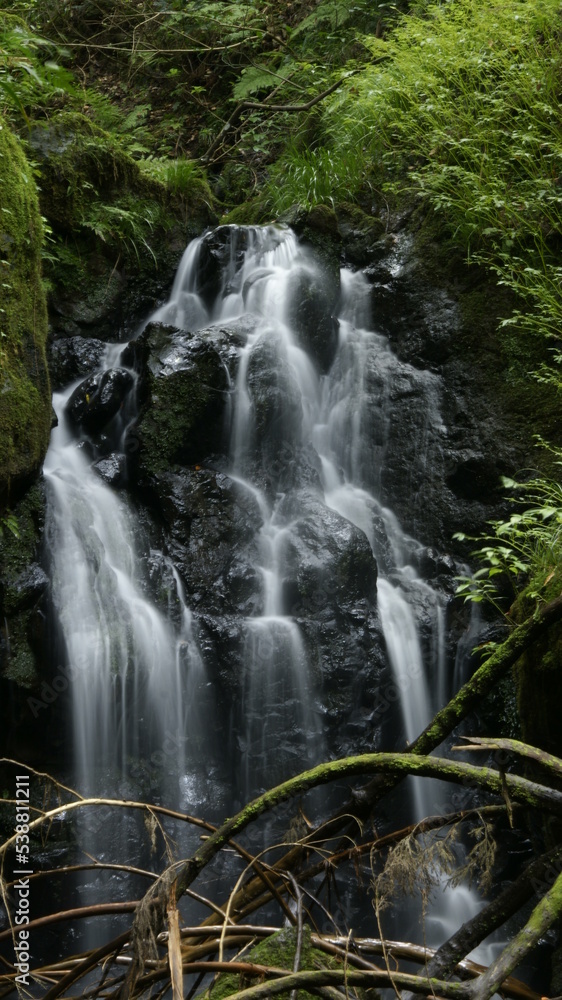 Fototapeta premium waterfall in the forest