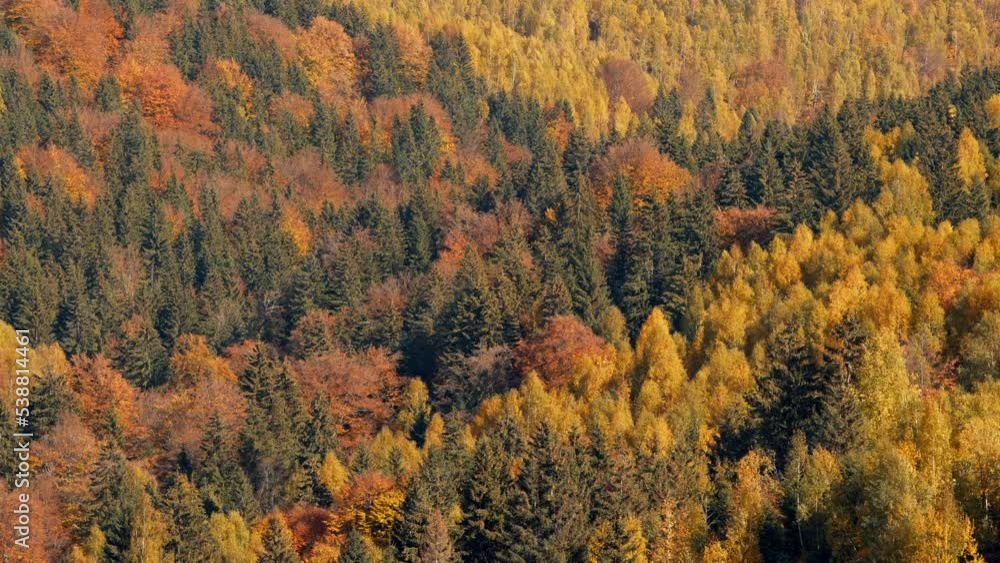 Autumn landscape. 4K video with the amazing texture view of a forest in fall color. Beautiful sight with seasons changes over the year. Close up detail video. Autumn landscape. 4K video with the amazing texture view of a forest in fall color. Beautiful sight with seasons changes over the year. Close up detail video.