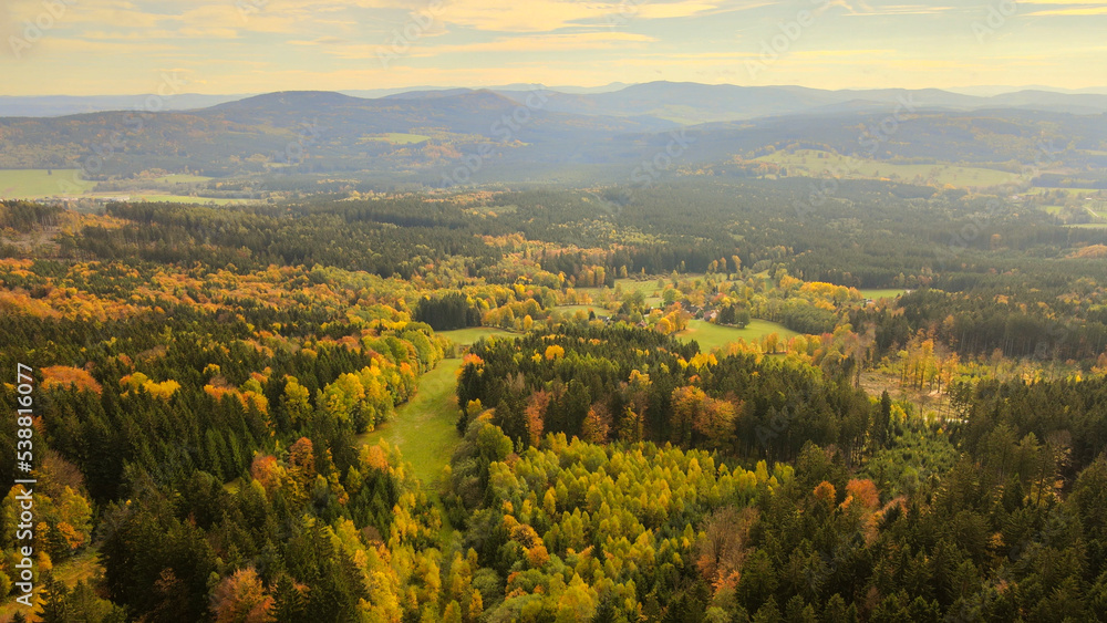 Golden autumn forest from a bird's eye view