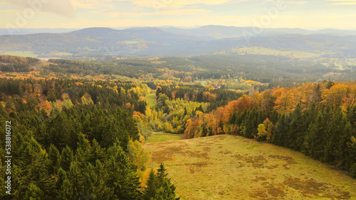 Golden autumn forest from a bird's eye view