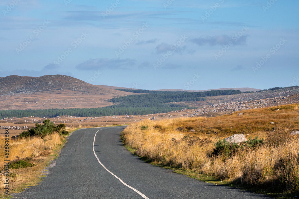 Small road in Connemara. Warm sunny day. Nature scenery with yellow vast fields and mountains in the background. County Galway, Ireland. Irish landscape. Travel and tourism. Small road in Connemara. Warm sunny day. Nature scenery with yellow vast fields and mountains in the background. County Galway, Ireland. Irish landscape. Travel and tourism.
