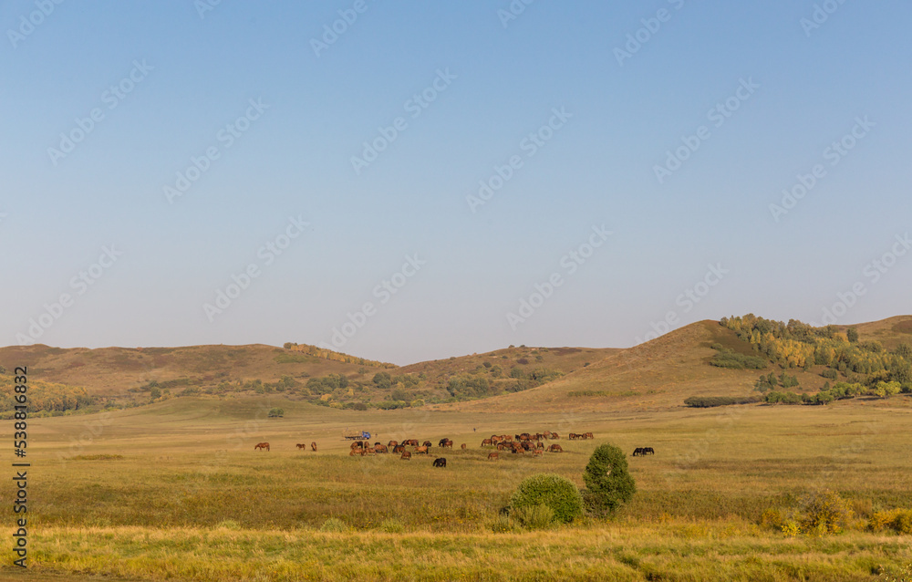 autumn grassland beautiful scenery in Inner Mongolia China