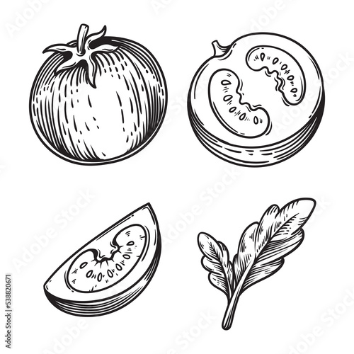tomato hand drawn illustration fruit vegetables