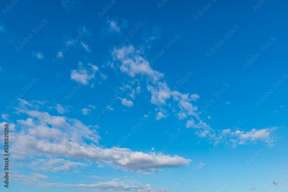 Fototapeta premium 秋の朝空