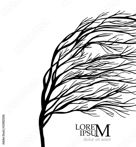 A tree without leaves with bending branches. Windy weather. Hurricane. Autumn Tree silhouette isolated on white. Vector illustration