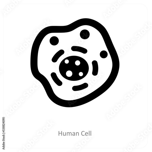human cell