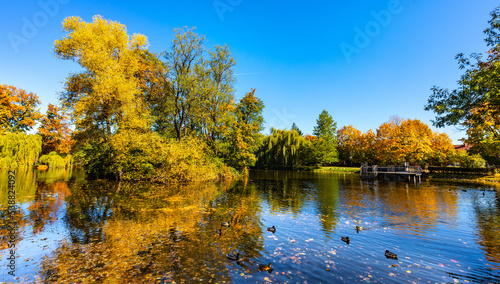 Fototapeta Naklejka Na Ścianę i Meble -  City park and lake with colorful fall trees leaf mosaic in historic old town quarter of Andrychow with Beskidy Mountains in background in Lesser Poland