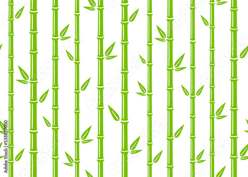 Bamboo seamless pattern. Simple flat green bamboo background with stalk  branch and leaves. Nature backdrop design. Abstract asian texture. Vector illustration on white background.