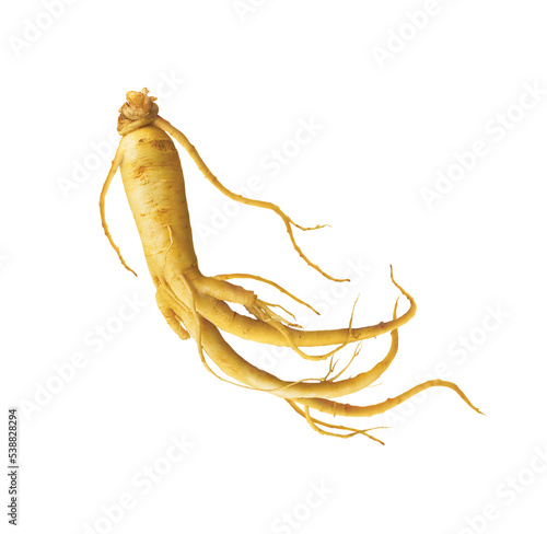Foto Ginseng, illustration, isolated on white background, realism, photo realistic