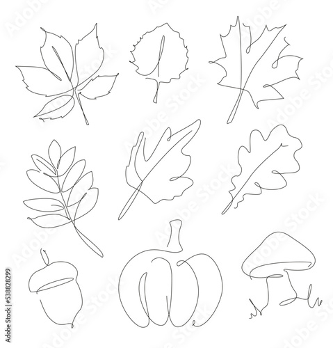 Forest leaves  pumpkin  acorn und one line set. Autumn leaf linear collection. Simple outline forest elements.