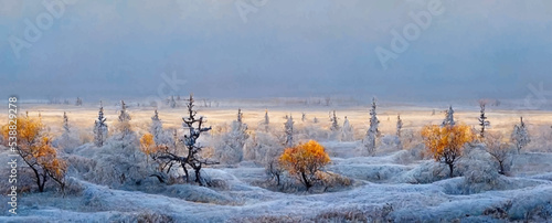 beautiful winter landscape of tundra frost