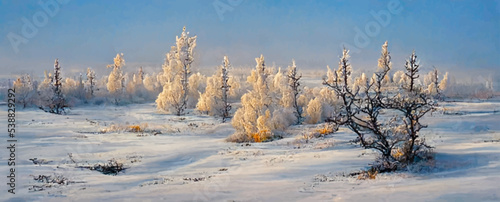 beautiful winter landscape of tundra frost