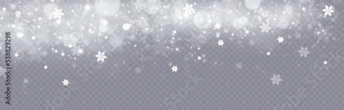 Particles of white magic dust. Shining light particles.Christmas glitter particles. Light effect on a transparent background.