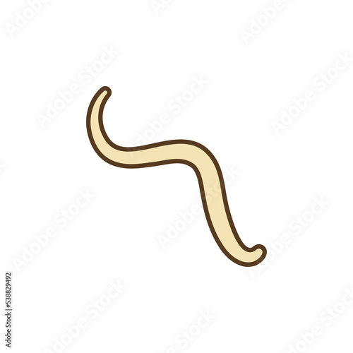 Ascariasis Parasites vector concept colored icon or sign