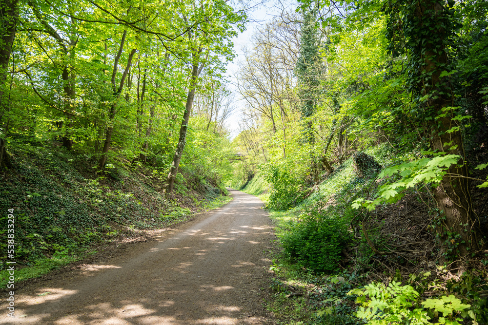 Park Park