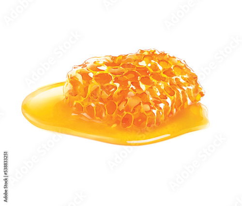 Honey, honey comb illustration, isolated on white background, realism, photo realistic