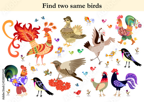 Find two same birds. Colorful vector illustration for children education. Puzzle for kids.