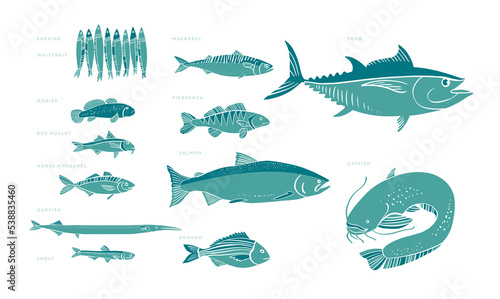 Assorted European fish illustration in two colors.