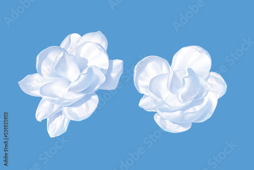 Photography Jasmine, Flower, realism, photo realistic