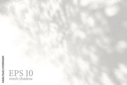 Transparent natural plant shadow. Light effect overlay. Mesh grid. Shadows from branches, plant, foliage and leaves on ground. Presentation your design card, poster Photo realistic vector