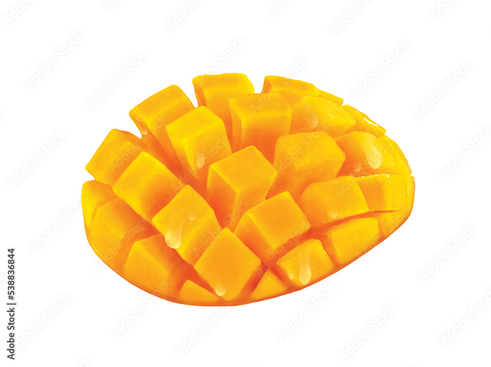 Mango illustration Mango illustration