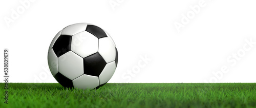 Klassischer Fußball auf dem Rasen vor einem weißen Hintergrund