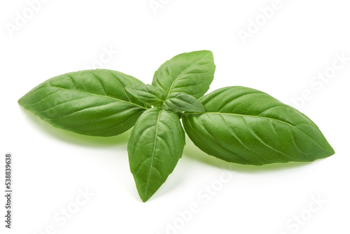 Organic Basil leaves, isolated on white background. High resolution image.