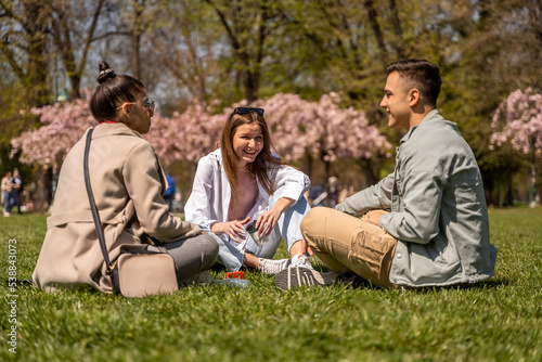 Three friends sitting on meadow in the park