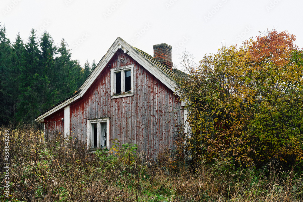 old house in the woods old house in the woods