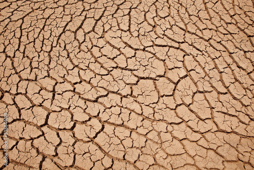 Drought land texture background. Global warming and greenhouse effect concept.