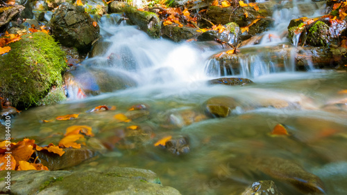 water flow in the forest  autumn landscape. water in slow motion