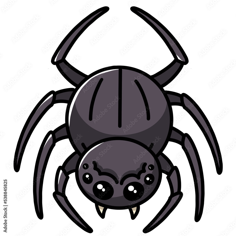 spider spider