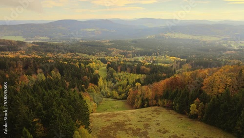 Golden autumn forest from a bird's eye view