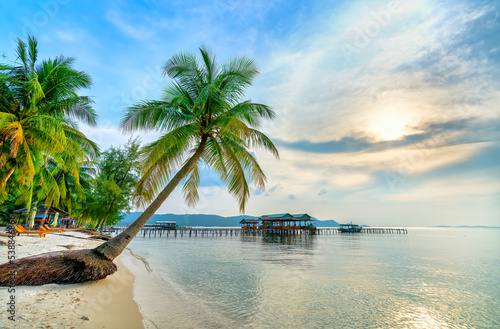 Tropical beach with palm on beautiful sandy beach in Phu Quoc island  Vietnam  sunset sky. This is one of the best beaches of Vietnam.