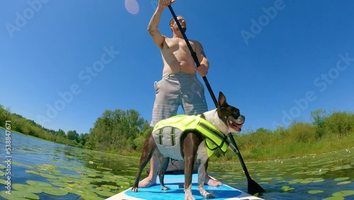 Paddleboarding in Lily Pads with Small Dog Wearing Life Jacket