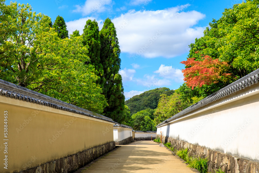 日本庭園の美しい風景