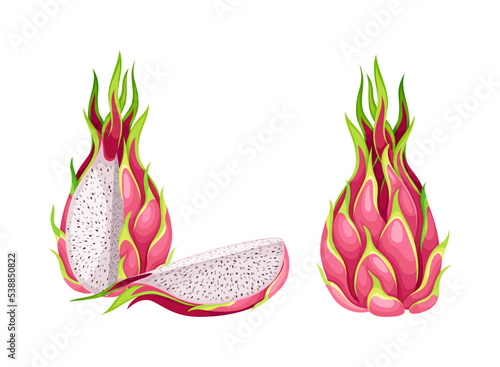 Pitaya or Pitahaya Fruit of Cactus Species with White Flesh and Black, Crunchy Seed Vector Set
