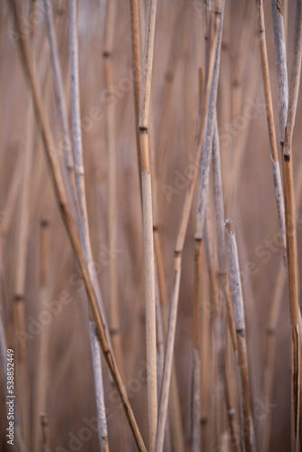 close up texture background